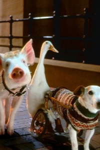 Babe: Pig in The City